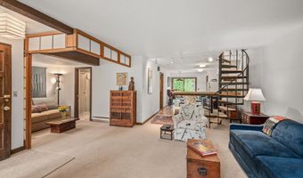 824 E Hopkins Ave 102 and 202, Aspen, CO 81611
