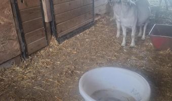 38706 114th St, Barnard, SD 57426