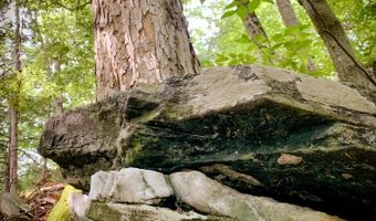 258 Captain Whitney Rd, Becket, MA 01223
