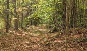 237 Halls Pond Rd, Charlestown, NH 03603