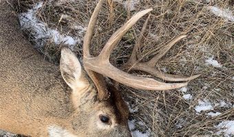 Tbd Dry Creek Road, Belgrade, MT 59714