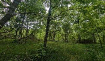 0 Mount Helen Rd, Allardt, TN 38504