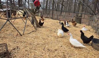4296 N Liberty Rd, Attica, IN 47918
