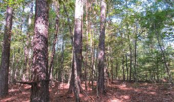 Anding Oil City Road, Bentonia, MS 39040