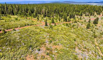 9653 Sportsman Dr, Alturas, CA 96101