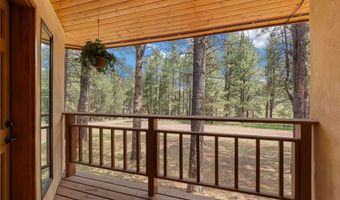 50 Jackson Hole Rd, Angel Fire, NM 87710
