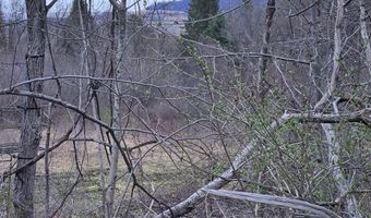 295 Shellstone Rd, Amsterdam, NY 12010