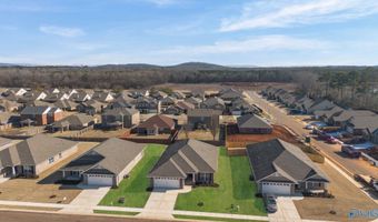 19849 Redhawk Dr, Athens, AL 35611
