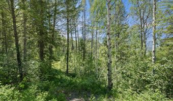 LOT 22 TRAIL RIDGE ROAD, Alpine, WY 83128