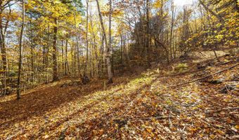 11 13/A/0 High Point Dr, Alton, NH 03810