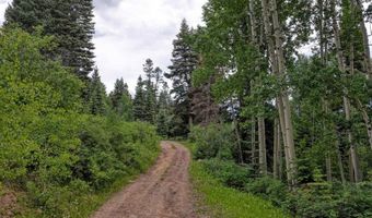 4556 Middle Mountain Rd, Bayfield, CO 81122