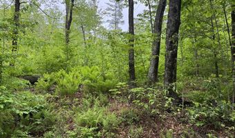 Lot B Beulah Land Rd, Blandford, MA 01008
