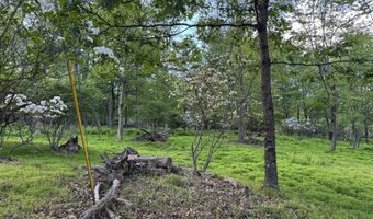Lot 10 TWILIGHT Drive, Cresco, PA 18326