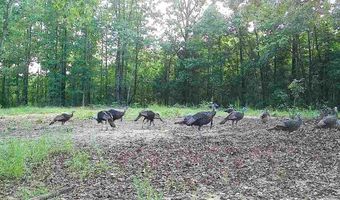 16060 US 278, Beaverton, AL 35544