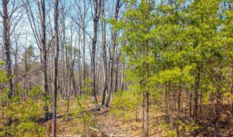 Larkin Mountain, Amherst, VA 24521