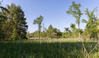 28 Mile Rd, Albion, MI 49224