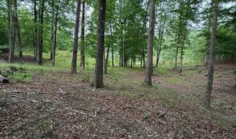 Lot 5 Purvis Road, Baldwin, GA 30511