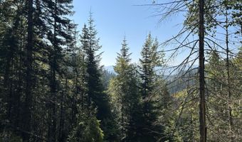 Tract 3 USFS 2294, Clark Fork, ID 83811