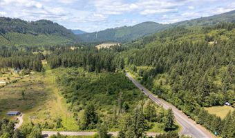 Lewis River Rd, Ariel, WA 98603