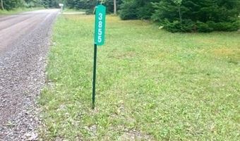 3855 El Cajan Rd, Alpena, MI 49707