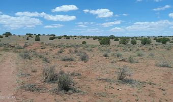Tbd Ranch of the White Mountains, Concho, AZ 85924