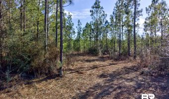 Jones Lane, Bay Minette, AL 36507