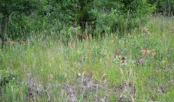 1256 Basking Dog Rd, Bellvue, CO 80512