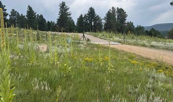 Lot 39 Whymans Black Lake Estates, Angel Fire, NM 87710