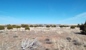 Parcel 107-52-046, Concho, AZ 85924