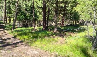 1825 Copper Cliff Dr, Bonner, MT 59823