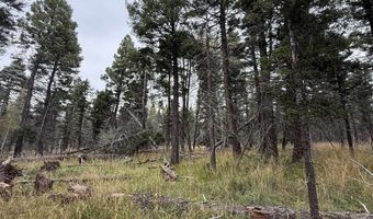 Cheerful Way lot 1469, Angel Fire, NM 87710