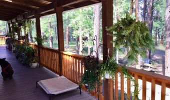 8 County Road 2083, Alpine, AZ 85920