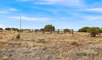 58 Antelope Ave, Concho, AZ 85924