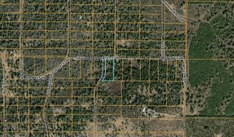 Grizzly Lane 9, Bonanza, OR 97623