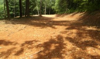 8 63ac Gravely Hill Rd, Bethpage, TN 37022