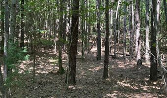 0 Highway 140 Tract E NW, Adairsville, GA 30103