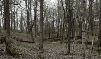 6280 N Terry Rd, Austin, IN 47102