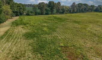 14 31 Acres Highway 463, Bay, AR 72411