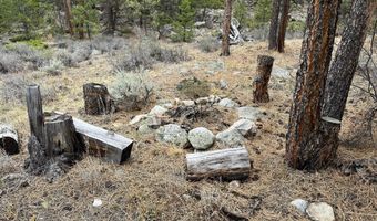 122 Black Hollow Rd, Bellvue, CO 80512