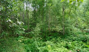 Lot 102 Nw Loc Sault Avenue, Anchorage, AK 99516
