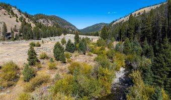 Nhn Jerry Creek Road, Wise River, MT 59762