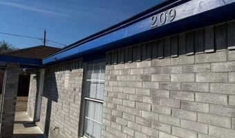 209 N Bluebonnet St, Alton, TX 78573
