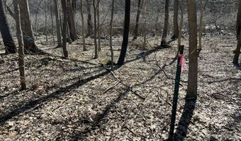 5725 Whitneyville Ave SE, Alto, MI 49302