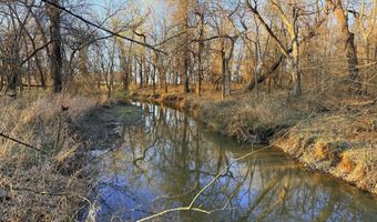 0002 CR-290, Asbury, MO 64832