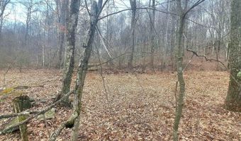 Glade Run Road, Albright, WV 26519