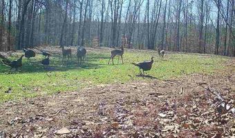 16060 US 278, Beaverton, AL 35544