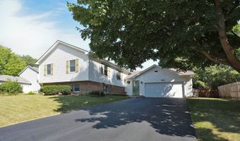 910 S Vista Dr, Algonquin, IL 60102