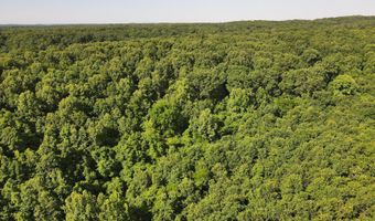 Private Drive Off Of Fr 1245, Aurora, MO 65605