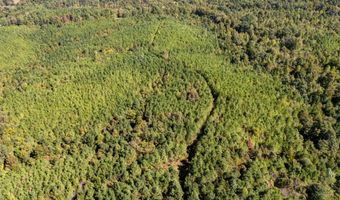 Holmes Road, Batesville, MS 38606