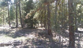 Lot 21 Boar Lane, Bonanza, OR 97623